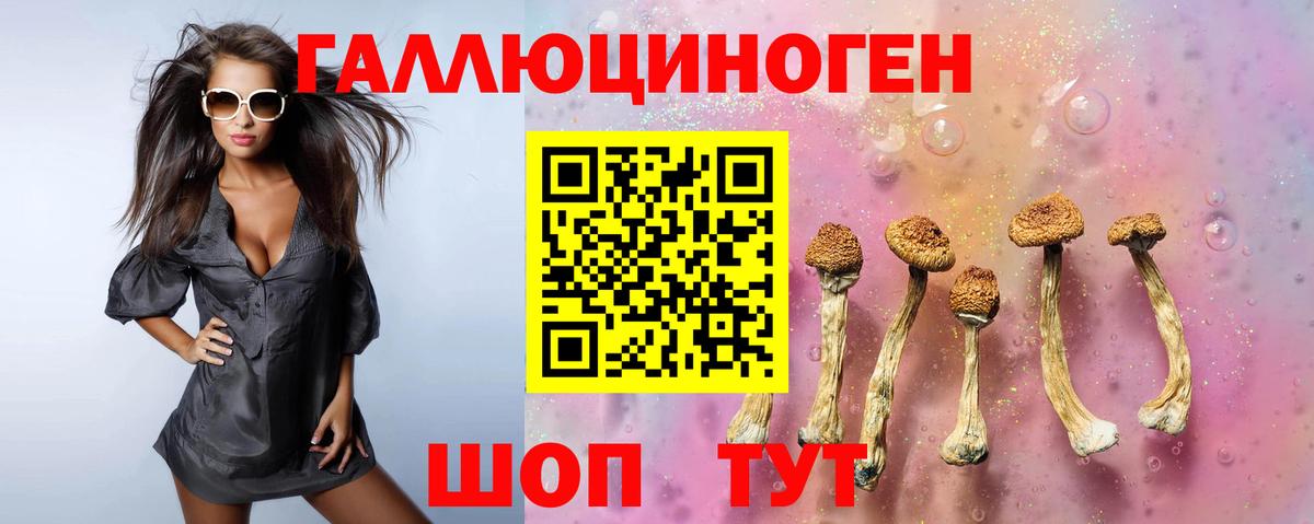Галлюциногенные грибы Psilocybine cubensis Амурск