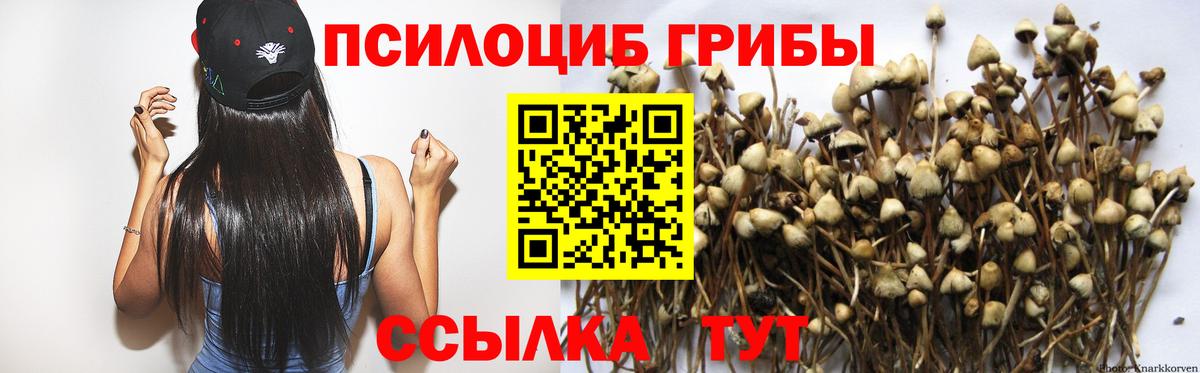 Амурск  Псилоцибиновые грибы Psilocybine cubensis  Вход с VPN 